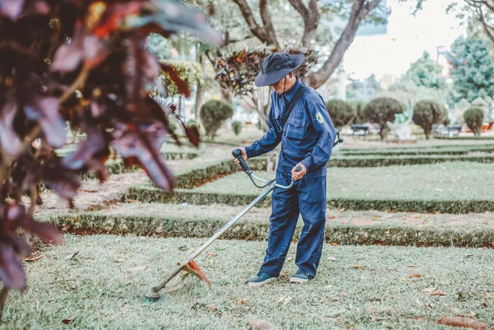 Garden maintenance work — illustrative stock photograph